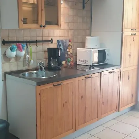 Lejlighed Biserka
